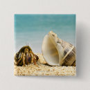 Search for crab badges Sealife