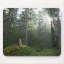 Search for golden retriever mousepads Forest