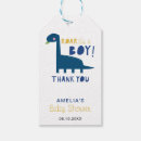 Search for cute dinosaur baby shower Simple