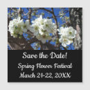 Search for clusters invitations Floral