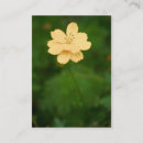 Search for peace business cards Summer