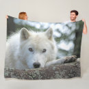 Search for polar wolf Alaska