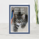 Search for pawprints cards Kitten