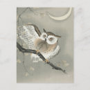 Search for vintage halloween illustration postcards Owl