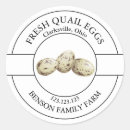 Search for quails Farm
