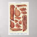 Search for bacon posters Illustration