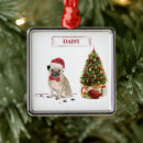 Search for pug christmas tree decorations Funny