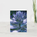 Search for hosta cards Flowers