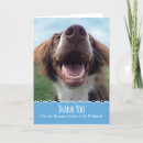 Search for organisation cards Rescue
