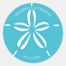 Search for sand dollar Turquoise