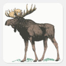 Search for moose antler stickers Wildlife