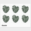 Search for monstera stickers Nature