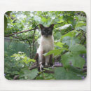 Search for puppy mousepads Kitten