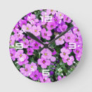 Search for purple clocks Flowers