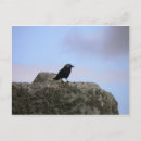 Search for druids postcards England