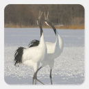 Search for japanese cranes stickers Nature