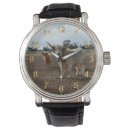 Search for highland cattle watches Scottish