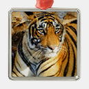 Search for asia christmas tree decorations Travel
