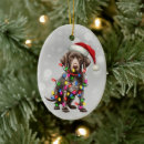 Search for german shorthaired pointer christmas tree decorations Pet