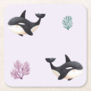 Search for whales coasters Killer whale