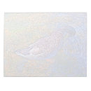 Search for duck notepads Mallard
