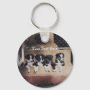Search for litter key rings Dog