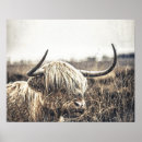 Search for highlanders posters Modern