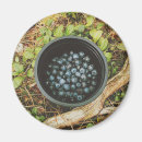 Search for picking magnets Nature