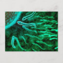 Search for fertilisation postcards Abstract