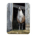 Search for comical magnets Farm