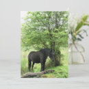 Search for maree invitations Cute