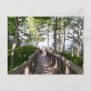 Search for upper peninsula photography Forest
