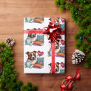 Search for pitbull wrapping paper Bully