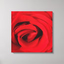 Search for red rose canvas prints Bloom