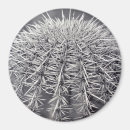 Search for sonoran magnets Desert