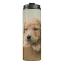 Search for golden travel mugs Pet