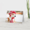Search for sock monkey cards Fun