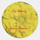 Search for yellow ladybug stickers Insect