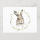 Search for animal postcards Cute