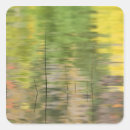 Search for adirondack stickers Usa