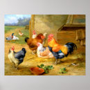 Search for rooster and chicks posters Farm