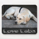 Search for retriever electronics Labrador puppy