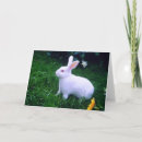 Search for kids easter cards Rabbit