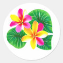 Search for plumeria stickers Hawaii