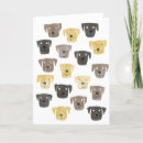 Search for chocolate labrador retriever cards Pet