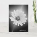 Search for cosmos cards Flower