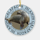 Search for sea lion christmas tree decorations Galapagos