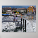 Search for swan image posters Lake