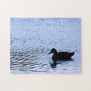 Search for wildlife photography puzzles Water