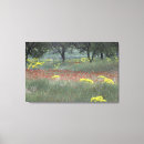 Search for rural canvas prints Tree